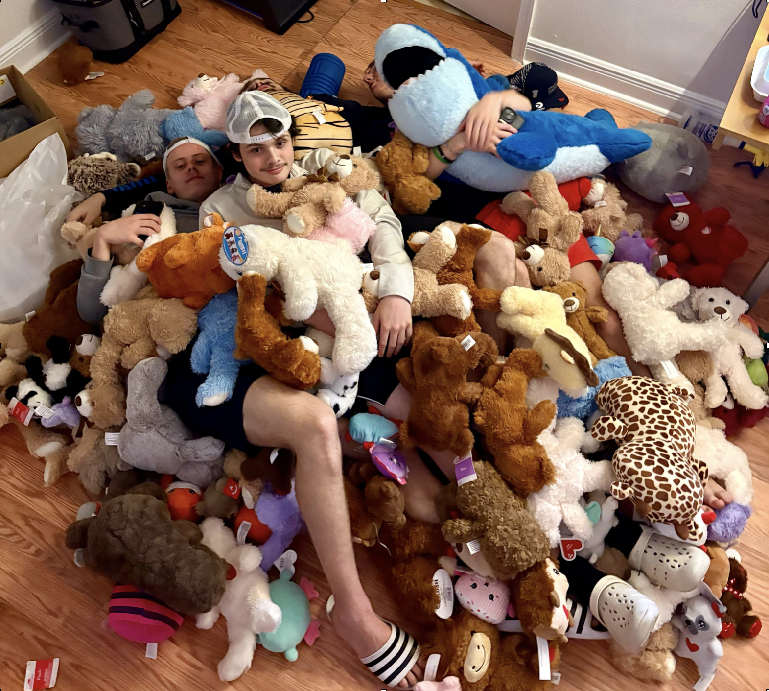 Teddy Bear Toss